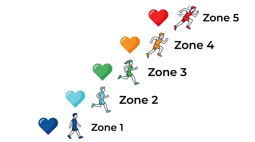 Illustration des différentes zones de fréquence cardiaque en course à pied